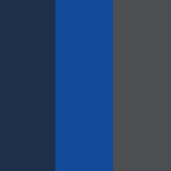Dark Navy / True Royal / Dark Charcoal